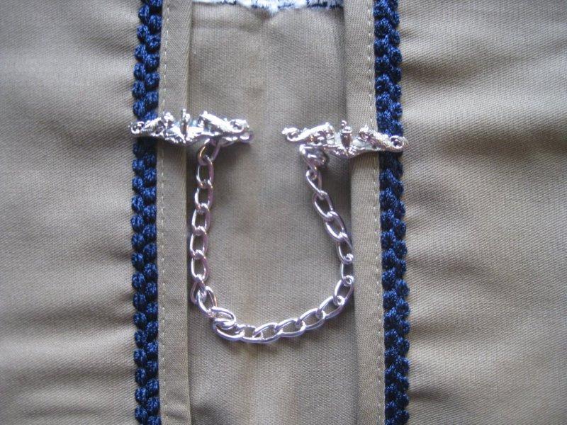 SubVEST submarine dolphin clips